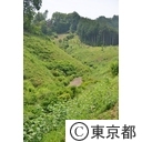 知事視察 （梅の公園・吉野梅郷）