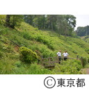 知事視察 （梅の公園・吉野梅郷）