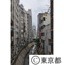 知事視察 （渋谷川再開発）