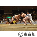 インターハイ 南関東総体2014 相撲