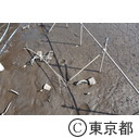 井の頭公園かいぼり