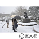 都心に雪