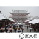 都心に雪