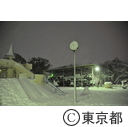 都心に雪