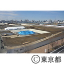豊洲新市場（仮称）建設工事起工式