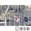 新宿中央公園