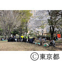 新宿中央公園