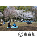 新宿中央公園
