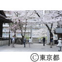新宿中央公園