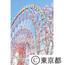 シンボルプロムナードフラワーフェスタ