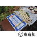 舛添知事による行政視察