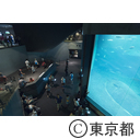 葛西臨海水族園