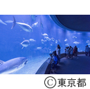 葛西臨海水族園
