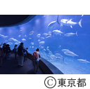 葛西臨海水族園