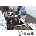葛西臨海水族園