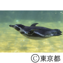 葛西臨海水族園
