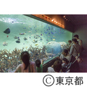 葛西臨海水族園
