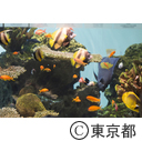 葛西臨海水族園