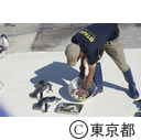 葛西臨海水族園