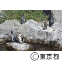 葛西臨海水族園