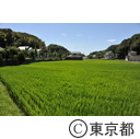 小山台緑地