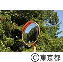 小山台緑地