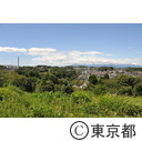 小山台緑地