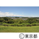 小山台緑地