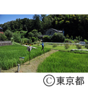 小山台緑地