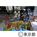被災地で育てられた花の定植イべント
