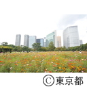 東京大茶会2014
