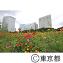 東京大茶会2014