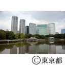 東京大茶会2014