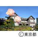 旧古河庭園