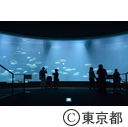 葛西臨海水族園