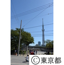 浅草周辺（隅田川）