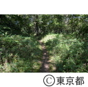 都立狭山公園
