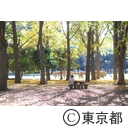 代々木公園の紅葉
