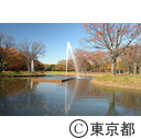代々木公園の紅葉