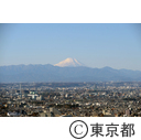 都庁と富士山