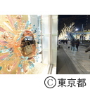 表参道のイルミネーション