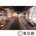 表参道のイルミネーション