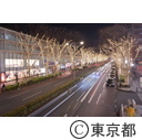 表参道のイルミネーション