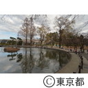 赤塚溜池公園
