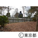 赤塚溜池公園