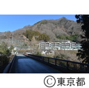 檜原村