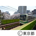 都内の桜