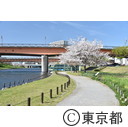 東大島