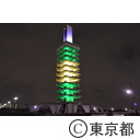 駒沢オリンピック公園ライトアップ