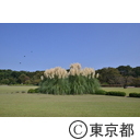 神代植物公園